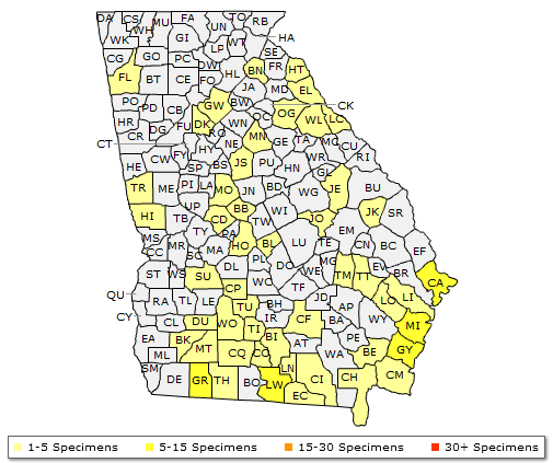 The range of Baccharis halimifolia
